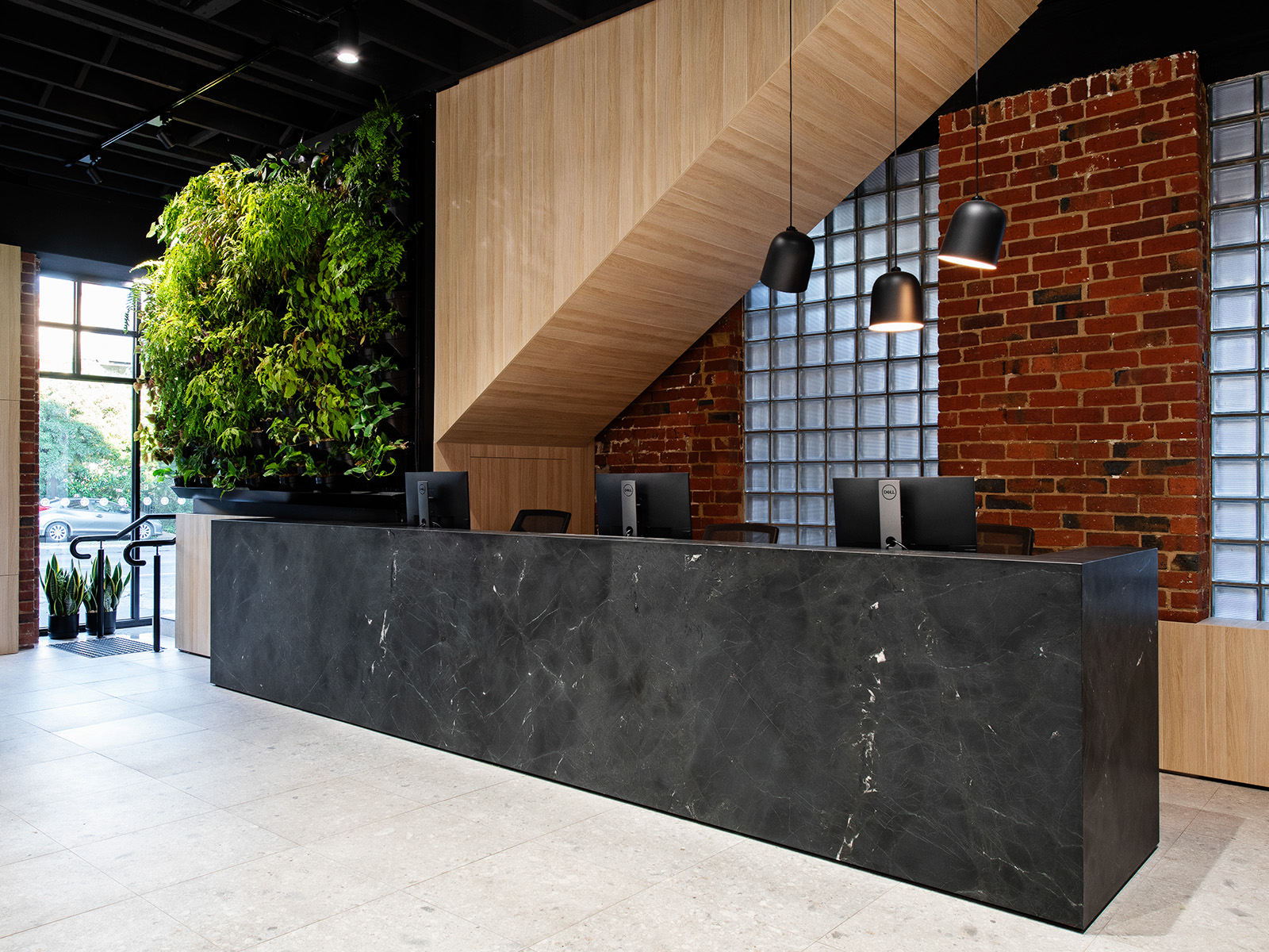 Oversized medical reception fitout |Living wall | Eagleheart health spaces